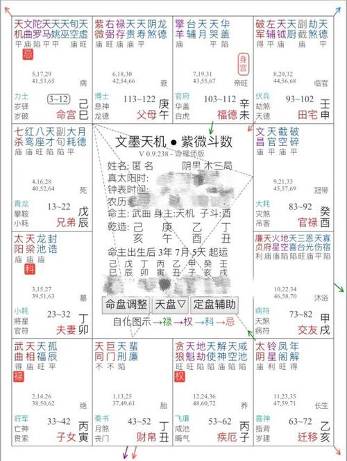 流年紫微人盘