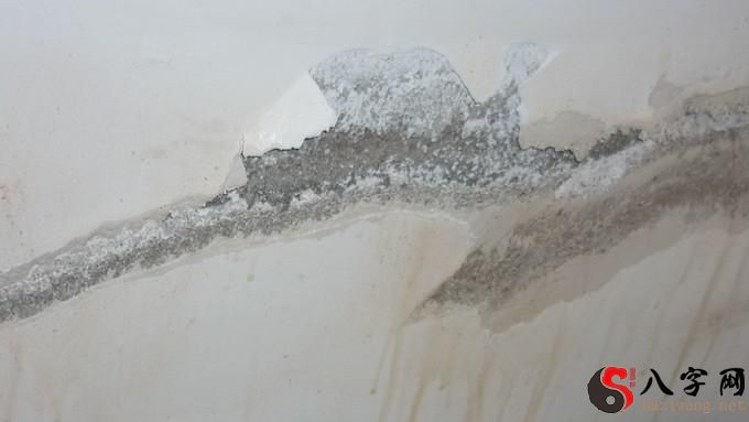 梦见屋顶漏水